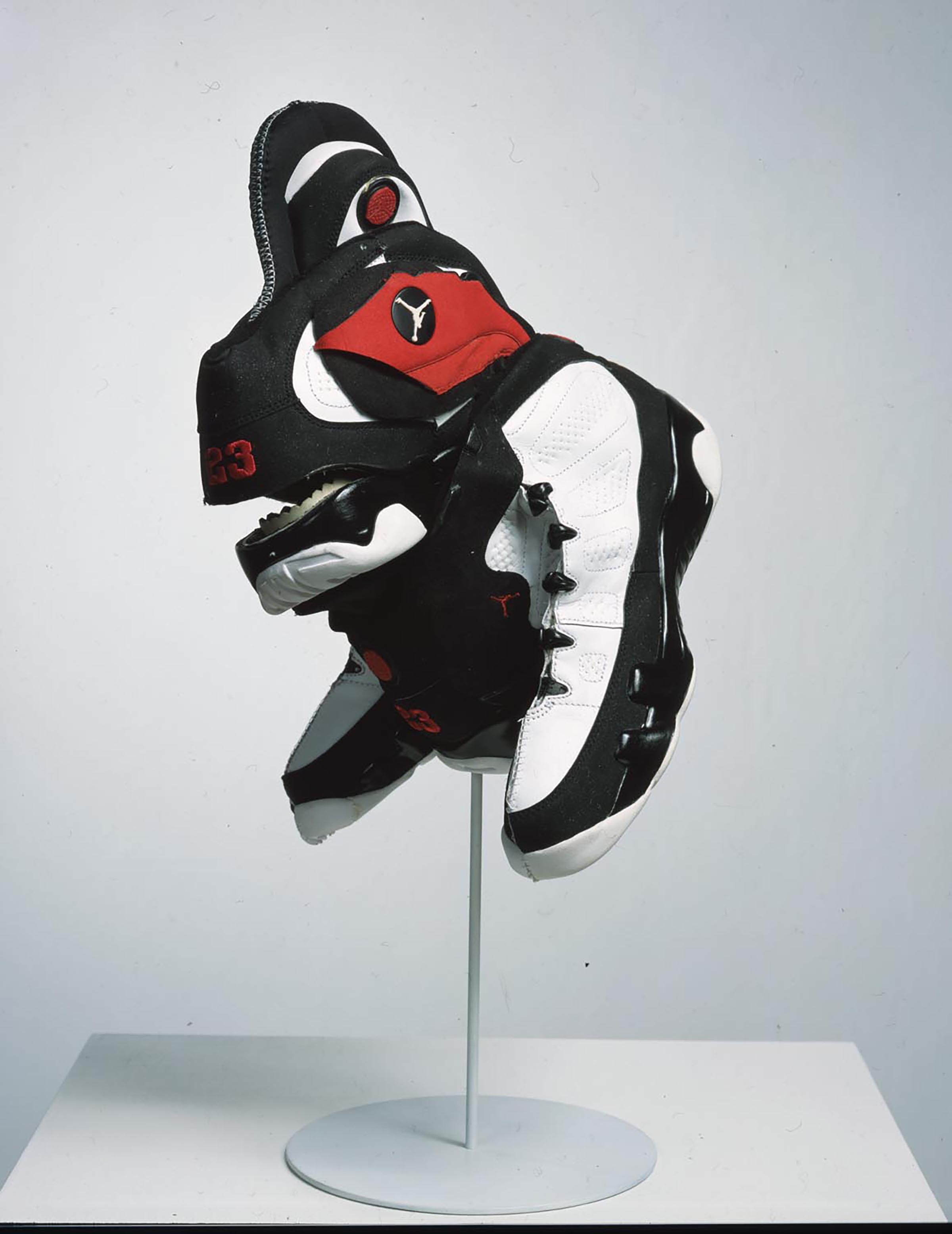 Jungen Brian, Prototype for New Understanding #12, 2002